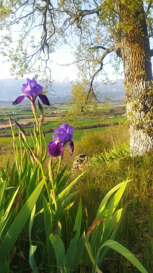 Casa Rural Tejedor Morillo de Monclus Kültér fotó
